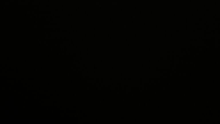 Dieses Bild zeigt eine Webcam-Aufnahme vom Achertal, aufgenommen am Freitag, den 26.09.2025 um 04:30 Uhr. Die Temperatur betrug 5°C.
