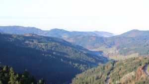 Dieses Bild zeigt eine Webcam-Aufnahme vom Achertal, aufgenommen am Montag, den 10.11.2025 um 09:50 Uhr. Die Temperatur betrug 4.8°C.