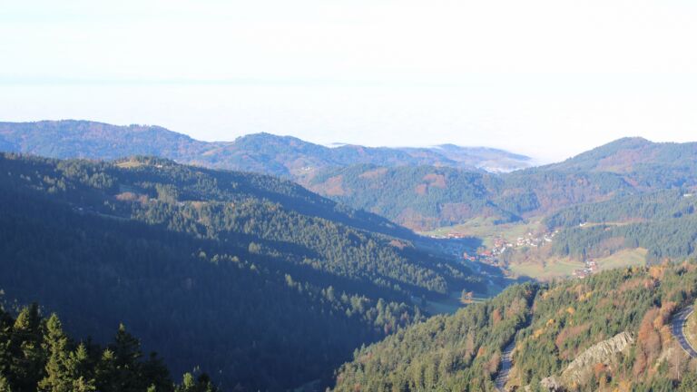 Dieses Bild zeigt eine Webcam-Aufnahme vom Achertal, aufgenommen am Montag, den 10.11.2025 um 09:50 Uhr. Die Temperatur betrug 4.8°C.