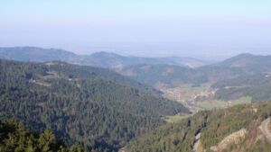 Dieses Bild zeigt eine Webcam-Aufnahme vom Achertal, aufgenommen am Freitag, den 20.03.2026 um 08:50 Uhr. Die Temperatur betrug 4.8°C.