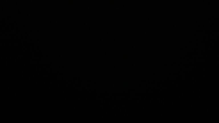 Dieses Bild zeigt eine Webcam-Aufnahme vom Achertal, aufgenommen am Sonntag, den 08.06.2025 um 02:30 Uhr. Die Temperatur betrug 10°C.