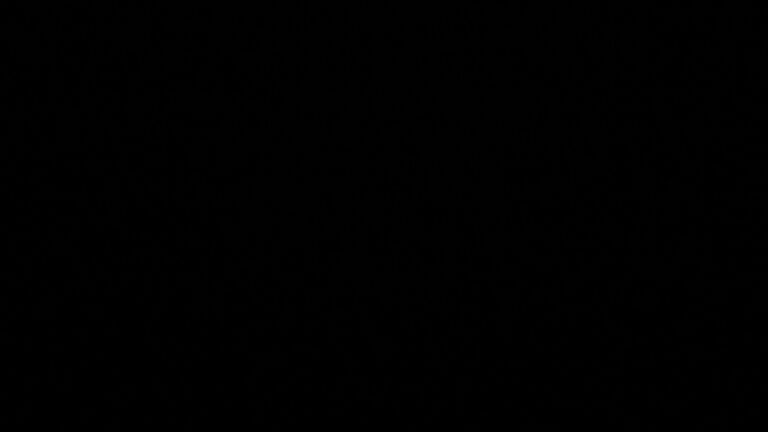 Dieses Bild zeigt eine Webcam-Aufnahme vom Achertal, aufgenommen am Montag, den 23.02.2026 um 03:30 Uhr. Die Temperatur betrug 4°C.