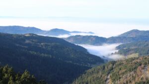 Dieses Bild zeigt eine Webcam-Aufnahme vom Achertal, aufgenommen am Sonntag, den 21.12.2025 um 12:20 Uhr. Die Temperatur betrug 7.1°C.