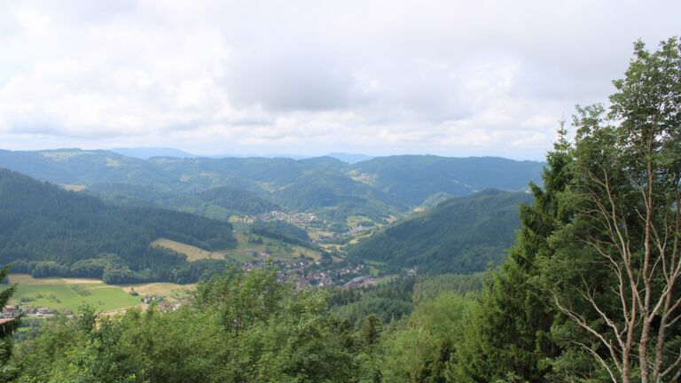 Dieses Bild zeigt eine Webcam-Aufnahme vom Achertal, aufgenommen am Montag, den 29.06.2026 um 11:30 Uhr. Die Temperatur betrug 22.1°C.