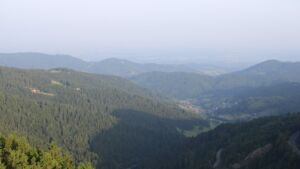 Dieses Bild zeigt eine Webcam-Aufnahme vom Achertal, aufgenommen am Samstag, den 14.06.2025 um 06:50 Uhr. Die Temperatur betrug 23.8°C.