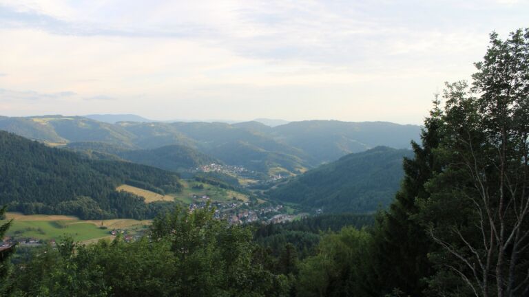 Dieses Bild zeigt eine Webcam-Aufnahme vom Achertal, aufgenommen am Montag, den 29.06.2026 um 20:30 Uhr. Die Temperatur betrug 23.6°C.