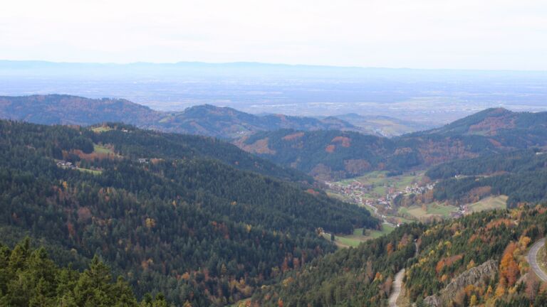 Dieses Bild zeigt eine Webcam-Aufnahme vom Achertal, aufgenommen am Mittwoch, den 29.10.2025 um 12:30 Uhr. Die Temperatur betrug 11.9°C.