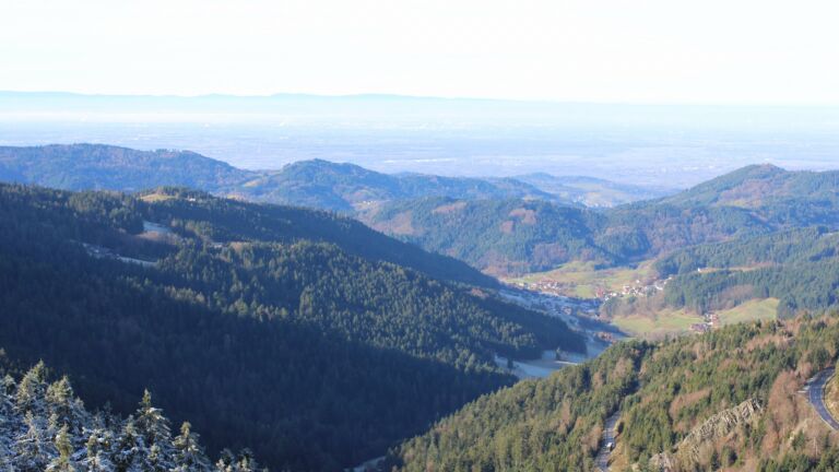 Dieses Bild zeigt eine Webcam-Aufnahme vom Achertal, aufgenommen am Montag, den 01.12.2025 um 11:30 Uhr. Die Temperatur betrug 6.6°C.