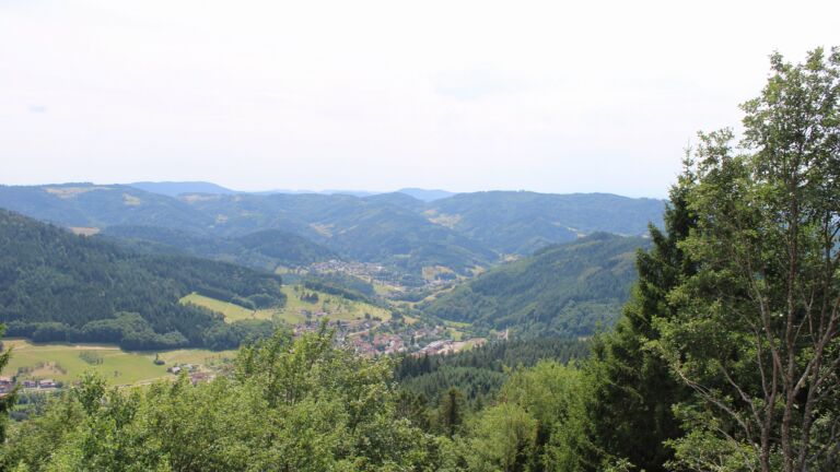 Dieses Bild zeigt eine Webcam-Aufnahme vom Achertal, aufgenommen am Dienstag, den 14.07.2026 um 14:50 Uhr. Die Temperatur betrug 29.9°C.