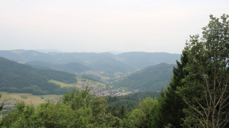 Dieses Bild zeigt eine Webcam-Aufnahme vom Achertal, aufgenommen am Donnerstag, den 30.07.2026 um 16:40 Uhr. Die Temperatur betrug 29.9°C.