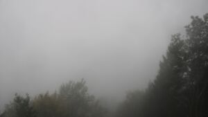 Dieses Bild zeigt eine Webcam-Aufnahme vom Achertal, aufgenommen am Samstag, den 17.10.2026 um 08:30 Uhr. Die Temperatur betrug 11.1°C.