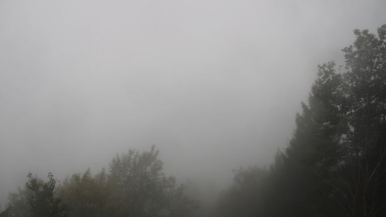 Dieses Bild zeigt eine Webcam-Aufnahme vom Achertal, aufgenommen am Samstag, den 17.10.2026 um 08:30 Uhr. Die Temperatur betrug 11.1°C.