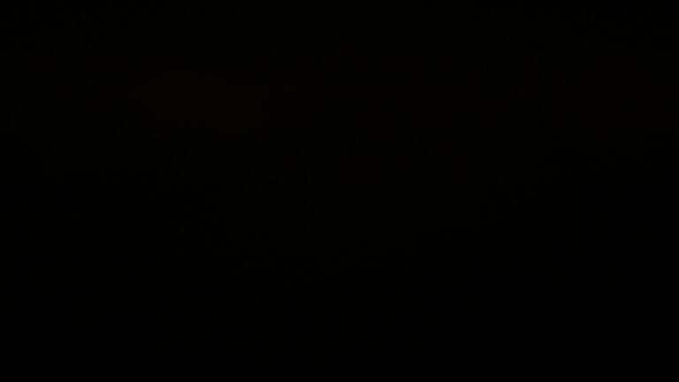 Dieses Bild zeigt eine Webcam-Aufnahme vom Achertal, aufgenommen am Montag, den 16.06.2025 um 01:30 Uhr. Die Temperatur betrug 9.8°C.