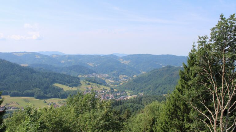 Dieses Bild zeigt eine Webcam-Aufnahme vom Achertal, aufgenommen am Donnerstag, den 16.07.2026 um 11:30 Uhr. Die Temperatur betrug 25°C.