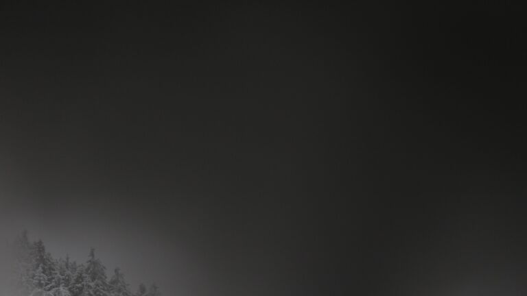 Dieses Bild zeigt eine Webcam-Aufnahme vom Achertal, aufgenommen am Montag, den 05.01.2026 um 03:30 Uhr. Die Temperatur betrug -7.8°C.