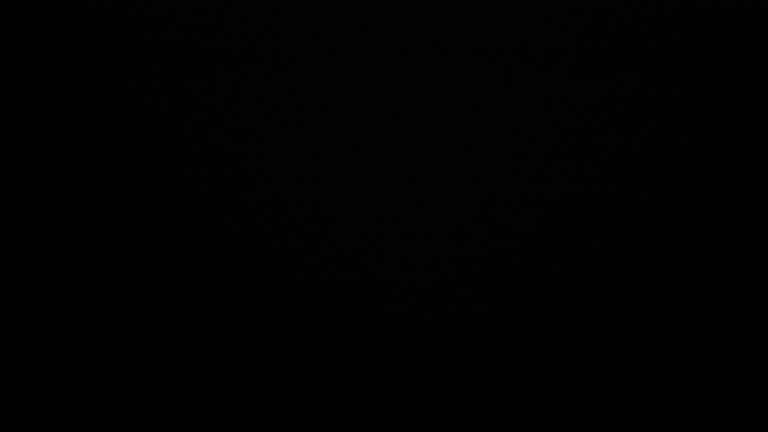 Dieses Bild zeigt eine Webcam-Aufnahme vom Achertal, aufgenommen am Montag, den 28.07.2025 um 01:30 Uhr. Die Temperatur betrug 10.5°C.