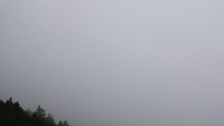 Dieses Bild zeigt eine Webcam-Aufnahme vom Achertal, aufgenommen am Montag, den 01.09.2025 um 12:40 Uhr. Die Temperatur betrug 12.6°C.