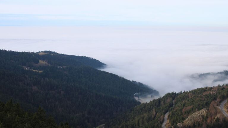 Dieses Bild zeigt eine Webcam-Aufnahme vom Achertal, aufgenommen am Montag, den 22.12.2025 um 10:10 Uhr. Die Temperatur betrug 8.4°C.