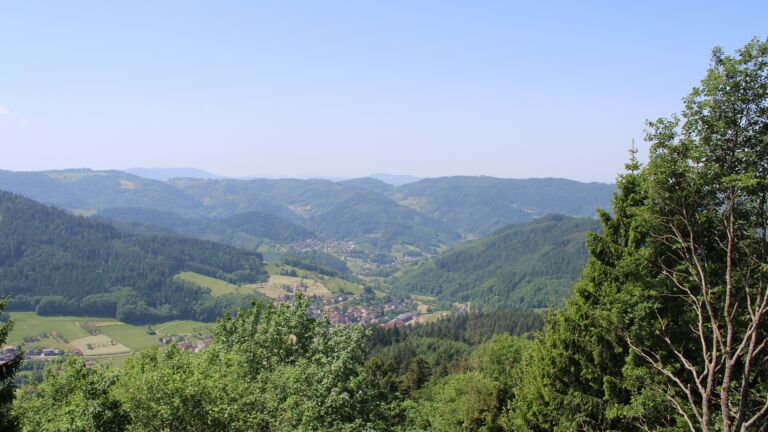 Dieses Bild zeigt eine Webcam-Aufnahme vom Achertal, aufgenommen am Montag, den 25.05.2026 um 12:00 Uhr. Die Temperatur betrug 25.1°C.