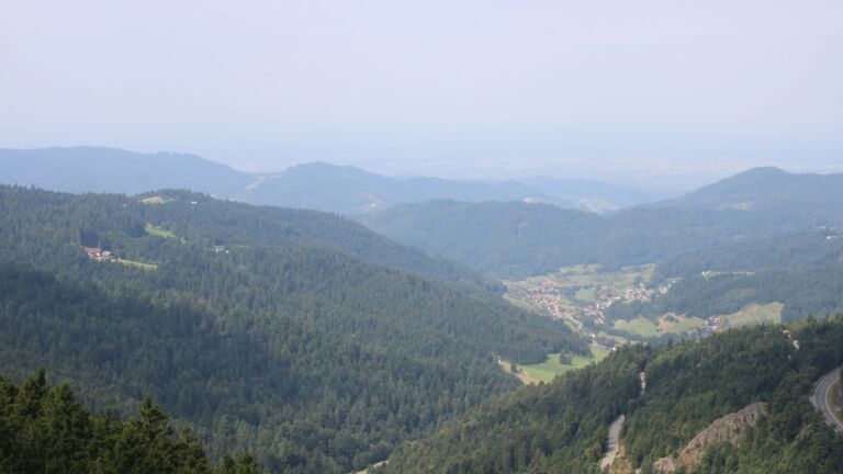 Dieses Bild zeigt eine Webcam-Aufnahme vom Achertal, aufgenommen am Samstag, den 16.08.2025 um 11:40 Uhr. Die Temperatur betrug 20.2°C.