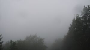 Dieses Bild zeigt eine Webcam-Aufnahme vom Achertal, aufgenommen am Mittwoch, den 01.07.2026 um 06:00 Uhr. Die Temperatur betrug 16.9°C.
