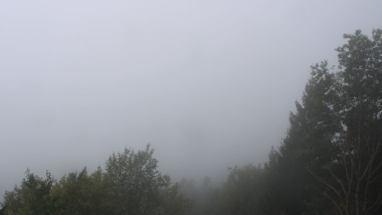 Dieses Bild zeigt eine Webcam-Aufnahme vom Achertal, aufgenommen am Freitag, den 02.10.2026 um 12:20 Uhr. Die Temperatur betrug 16.6°C.