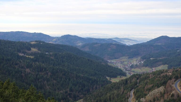 Dieses Bild zeigt eine Webcam-Aufnahme vom Achertal, aufgenommen am Mittwoch, den 17.12.2025 um 10:50 Uhr. Die Temperatur betrug 6°C.