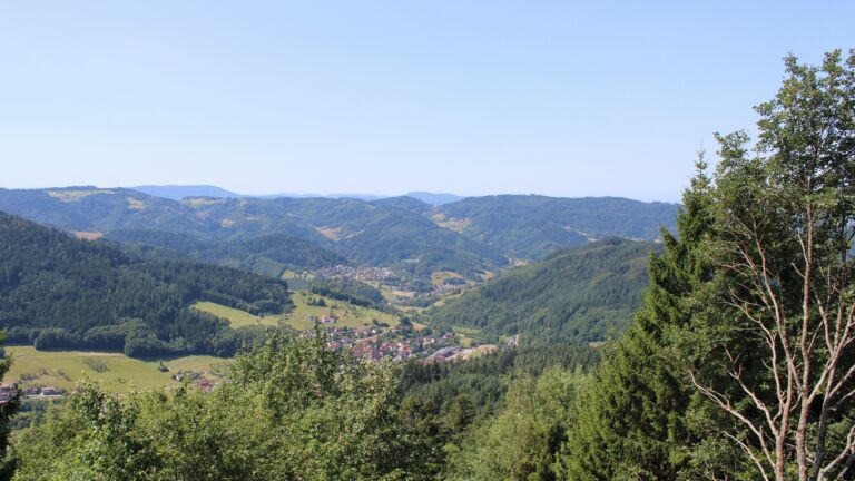 Dieses Bild zeigt eine Webcam-Aufnahme vom Achertal, aufgenommen am Mittwoch, den 22.07.2026 um 11:50 Uhr. Die Temperatur betrug 21.4°C.