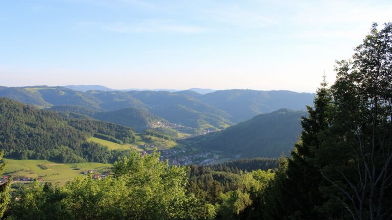 Dieses Bild zeigt eine Webcam-Aufnahme vom Achertal, aufgenommen am Freitag, den 22.05.2026 um 19:50 Uhr. Die Temperatur betrug 23.7°C.