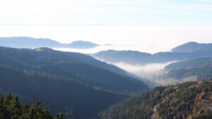 Dieses Bild zeigt eine Webcam-Aufnahme vom Achertal, aufgenommen am Freitag, den 07.11.2025 um 15:00 Uhr. Die Temperatur betrug 11.8°C.