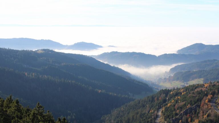 Dieses Bild zeigt eine Webcam-Aufnahme vom Achertal, aufgenommen am Freitag, den 07.11.2025 um 15:00 Uhr. Die Temperatur betrug 11.8°C.