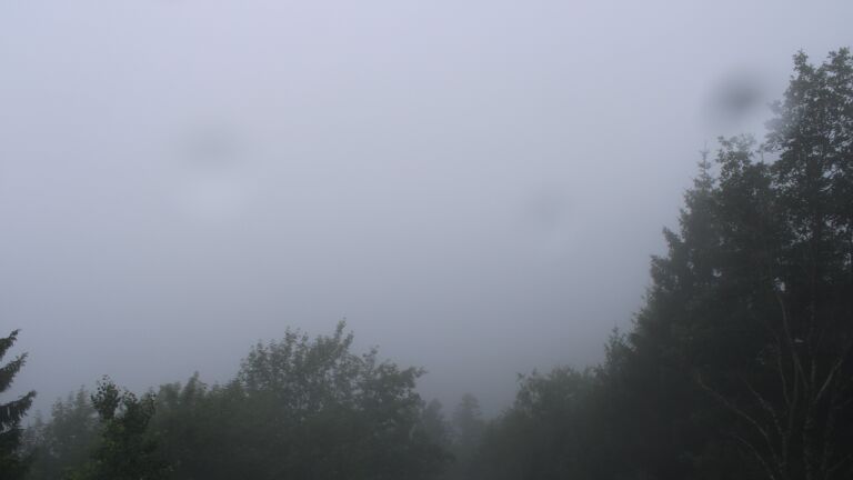 Dieses Bild zeigt eine Webcam-Aufnahme vom Achertal, aufgenommen am Mittwoch, den 01.07.2026 um 08:50 Uhr. Die Temperatur betrug 16.8°C.