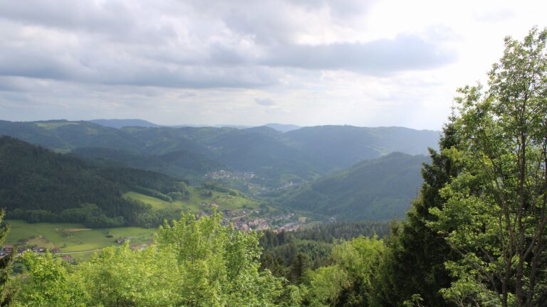 Dieses Bild zeigt eine Webcam-Aufnahme vom Achertal, aufgenommen am Mittwoch, den 20.05.2026 um 17:50 Uhr. Die Temperatur betrug 14.3°C.