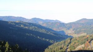 Dieses Bild zeigt eine Webcam-Aufnahme vom Achertal, aufgenommen am Freitag, den 07.11.2025 um 09:20 Uhr. Die Temperatur betrug 9.4°C.