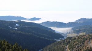 Dieses Bild zeigt eine Webcam-Aufnahme vom Achertal, aufgenommen am Mittwoch, den 21.01.2026 um 14:00 Uhr. Die Temperatur betrug 8.2°C.