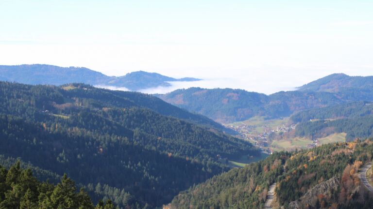 Dieses Bild zeigt eine Webcam-Aufnahme vom Achertal, aufgenommen am Samstag, den 08.11.2025 um 12:30 Uhr. Die Temperatur betrug 10.9°C.