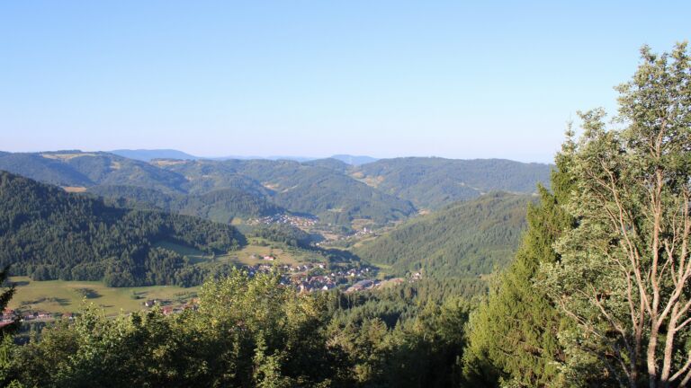 Dieses Bild zeigt eine Webcam-Aufnahme vom Achertal, aufgenommen am Freitag, den 24.07.2026 um 07:50 Uhr. Die Temperatur betrug 15.2°C.