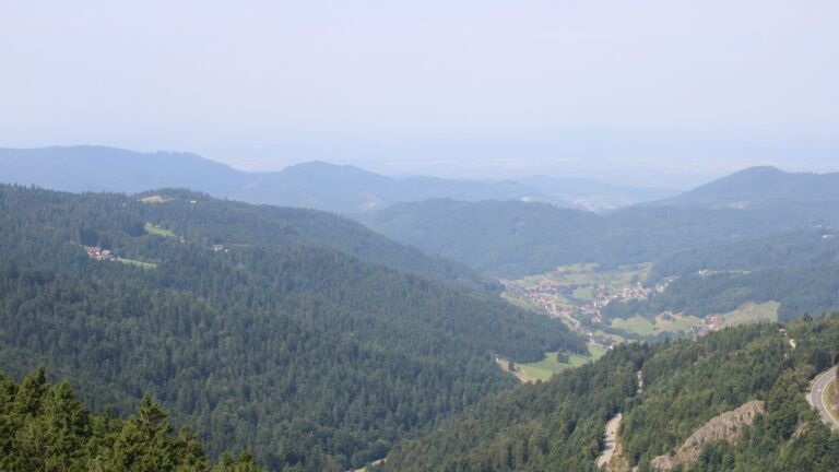 Dieses Bild zeigt eine Webcam-Aufnahme vom Achertal, aufgenommen am Samstag, den 16.08.2025 um 11:50 Uhr. Die Temperatur betrug 21°C.