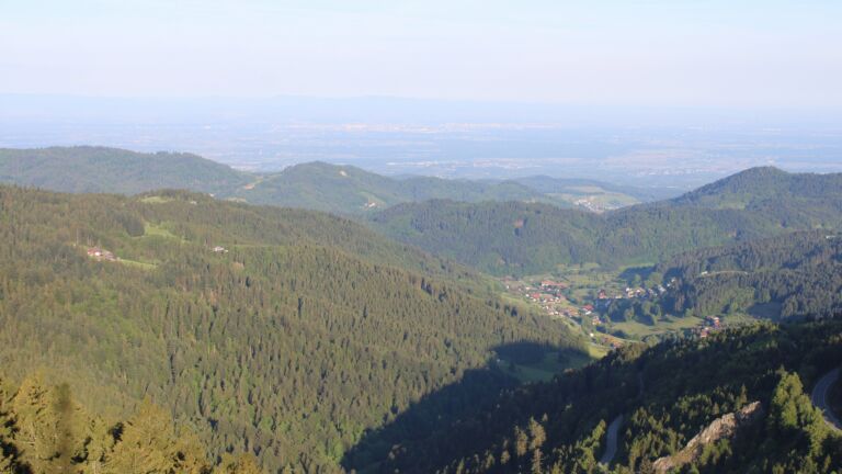 Dieses Bild zeigt eine Webcam-Aufnahme vom Achertal, aufgenommen am Sonntag, den 10.05.2026 um 07:30 Uhr. Die Temperatur betrug 14.3°C.