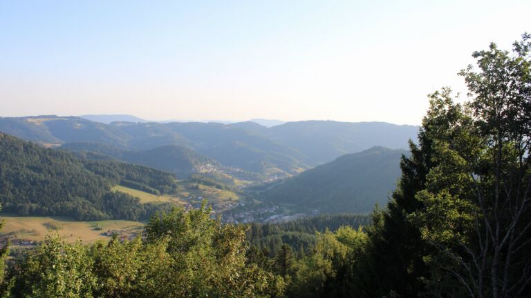 Dieses Bild zeigt eine Webcam-Aufnahme vom Achertal, aufgenommen am Dienstag, den 11.08.2026 um 19:30 Uhr. Die Temperatur betrug 27°C.