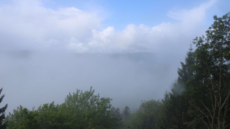 Dieses Bild zeigt eine Webcam-Aufnahme vom Achertal, aufgenommen am Freitag, den 15.05.2026 um 10:40 Uhr. Die Temperatur betrug 5.1°C.