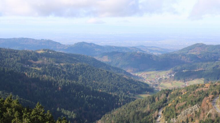 Dieses Bild zeigt eine Webcam-Aufnahme vom Achertal, aufgenommen am Dienstag, den 11.11.2025 um 11:30 Uhr. Die Temperatur betrug 7°C.