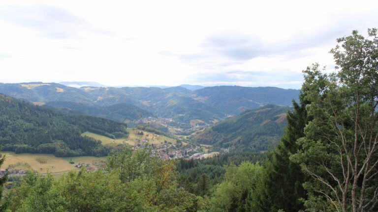 Dieses Bild zeigt eine Webcam-Aufnahme vom Achertal, aufgenommen am Donnerstag, den 20.08.2026 um 15:40 Uhr. Die Temperatur betrug 16.2°C.