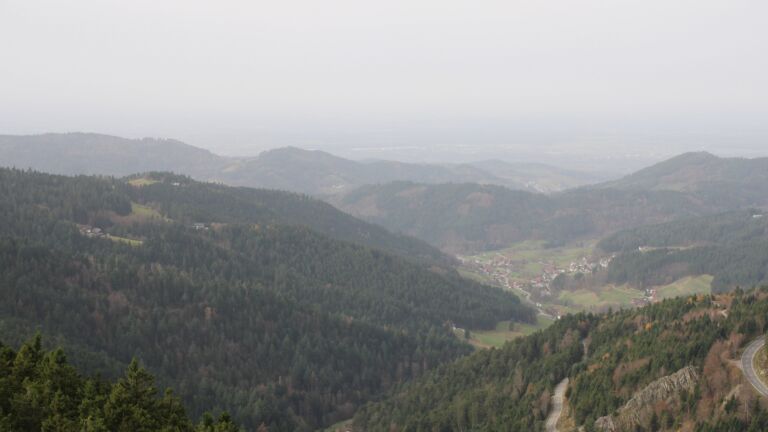 Dieses Bild zeigt eine Webcam-Aufnahme vom Achertal, aufgenommen am Freitag, den 14.11.2025 um 11:40 Uhr. Die Temperatur betrug 16.5°C.