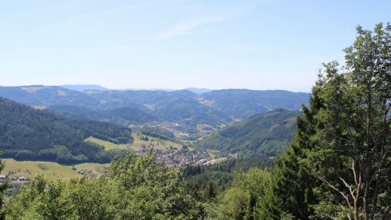 Dieses Bild zeigt eine Webcam-Aufnahme vom Achertal, aufgenommen am Freitag, den 24.07.2026 um 13:50 Uhr. Die Temperatur betrug 25.3°C.