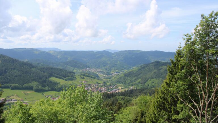Dieses Bild zeigt eine Webcam-Aufnahme vom Achertal, aufgenommen am Donnerstag, den 21.05.2026 um 12:00 Uhr. Die Temperatur betrug 19.3°C.