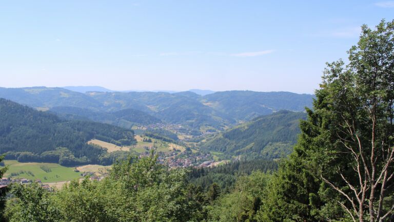Dieses Bild zeigt eine Webcam-Aufnahme vom Achertal, aufgenommen am Freitag, den 19.06.2026 um 12:30 Uhr. Die Temperatur betrug 29.9°C.