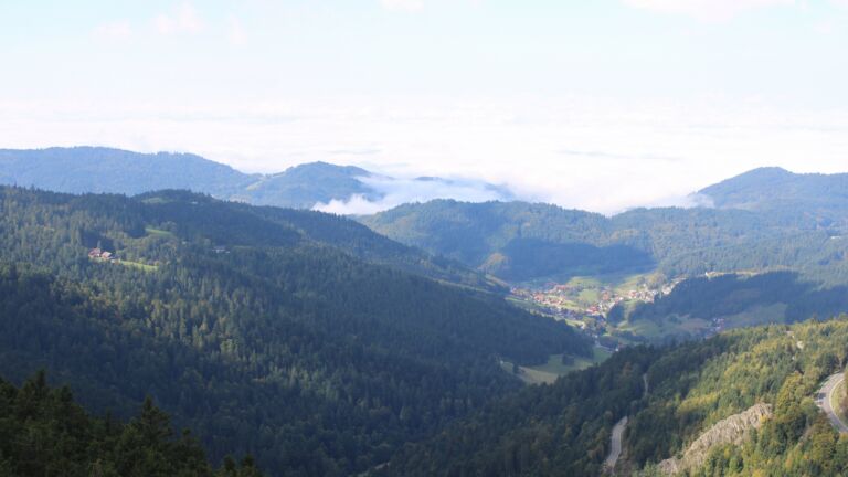 Dieses Bild zeigt eine Webcam-Aufnahme vom Achertal, aufgenommen am Mittwoch, den 01.10.2025 um 11:50 Uhr. Die Temperatur betrug 8.6°C.
