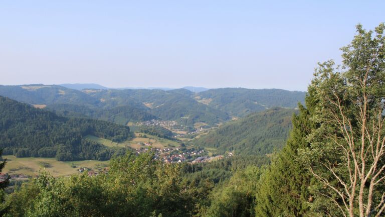 Dieses Bild zeigt eine Webcam-Aufnahme vom Achertal, aufgenommen am Donnerstag, den 30.07.2026 um 08:50 Uhr. Die Temperatur betrug 31.2°C.