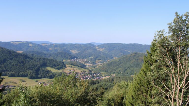 Dieses Bild zeigt eine Webcam-Aufnahme vom Achertal, aufgenommen am Mittwoch, den 29.07.2026 um 09:30 Uhr. Die Temperatur betrug 30.6°C.